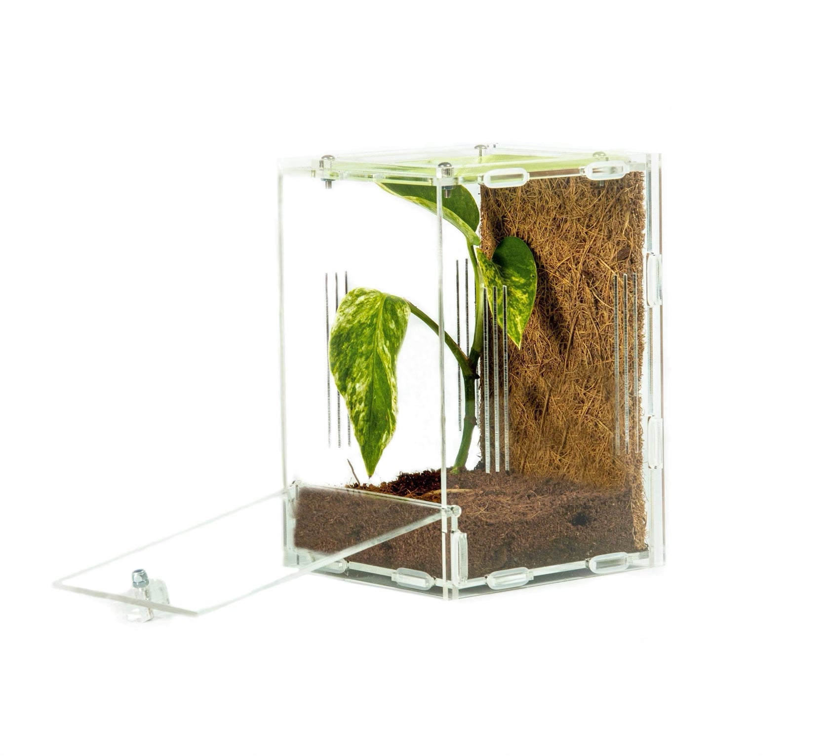 Acrylic Mantis Enclosure