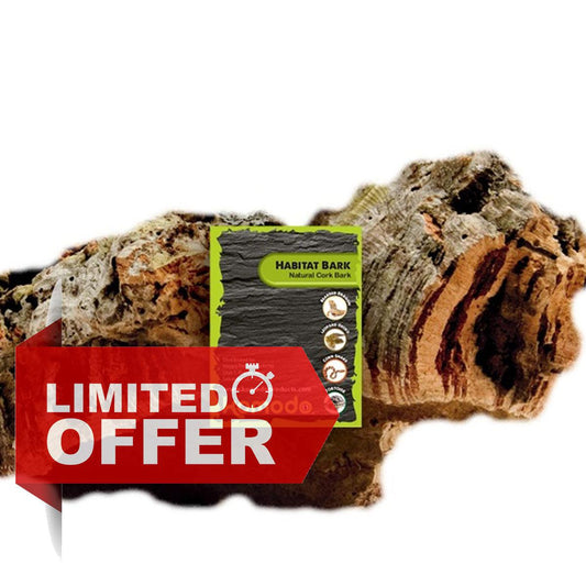 Komodo Habitat Cork Bark