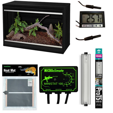 Leopard Gecko Starter Kit - Juvenile (57x37x42cm)