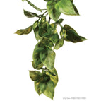 Medium (45cm)