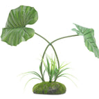 maximum Plant, 45cm