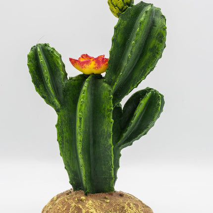ProRep Resin Flowering Cactus