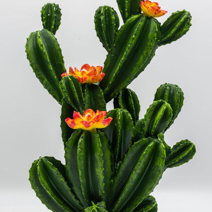 ProRep Resin Flowering Cactus