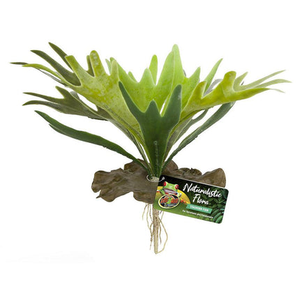 Zoo Med Naturalistic Flora Plant