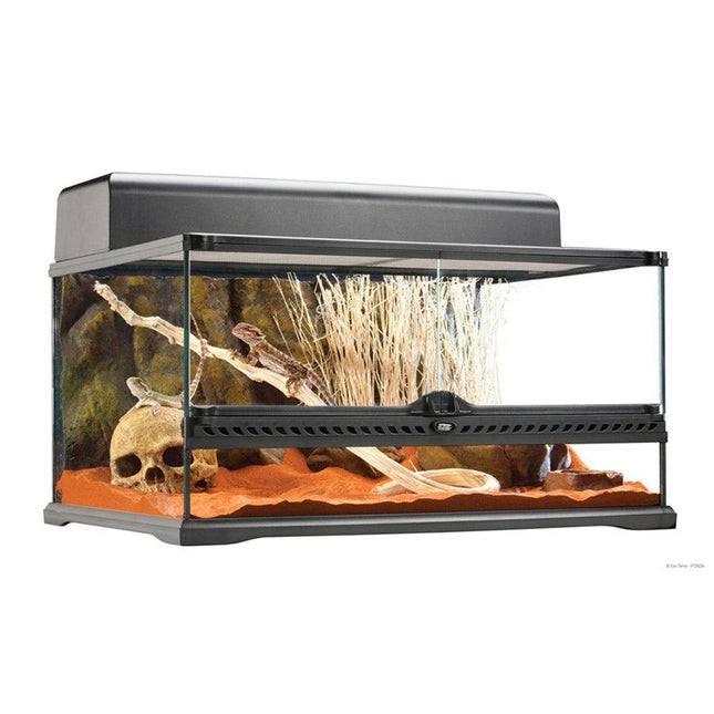 Exo Terra Glass Terrarium (60cm Wide) Medium