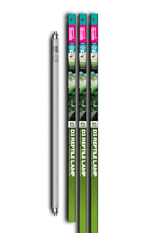 Arcadia T5 D3 Reptile T5 Lamp, 6% UVB