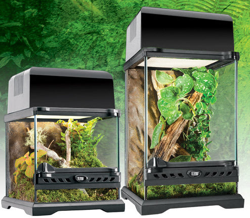 Exo Terra Glass Terrarium (20cm Wide) Nano