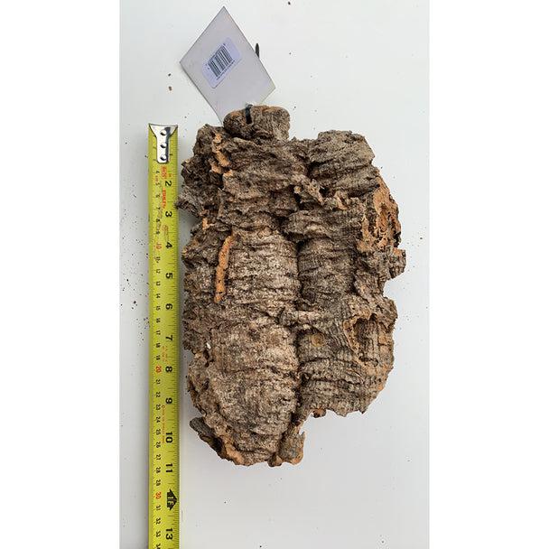 Komodo Habitat Cork Bark