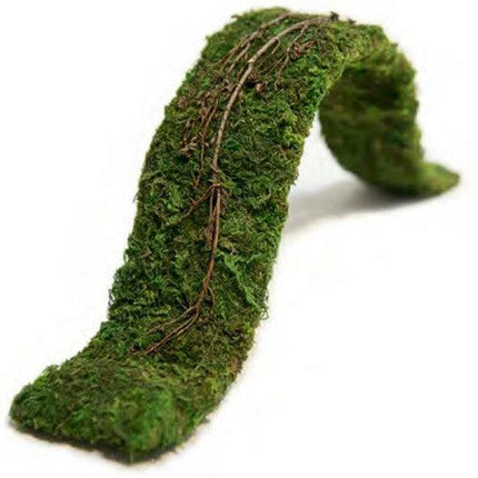 Komodo Natural Moss Bendy Bridge