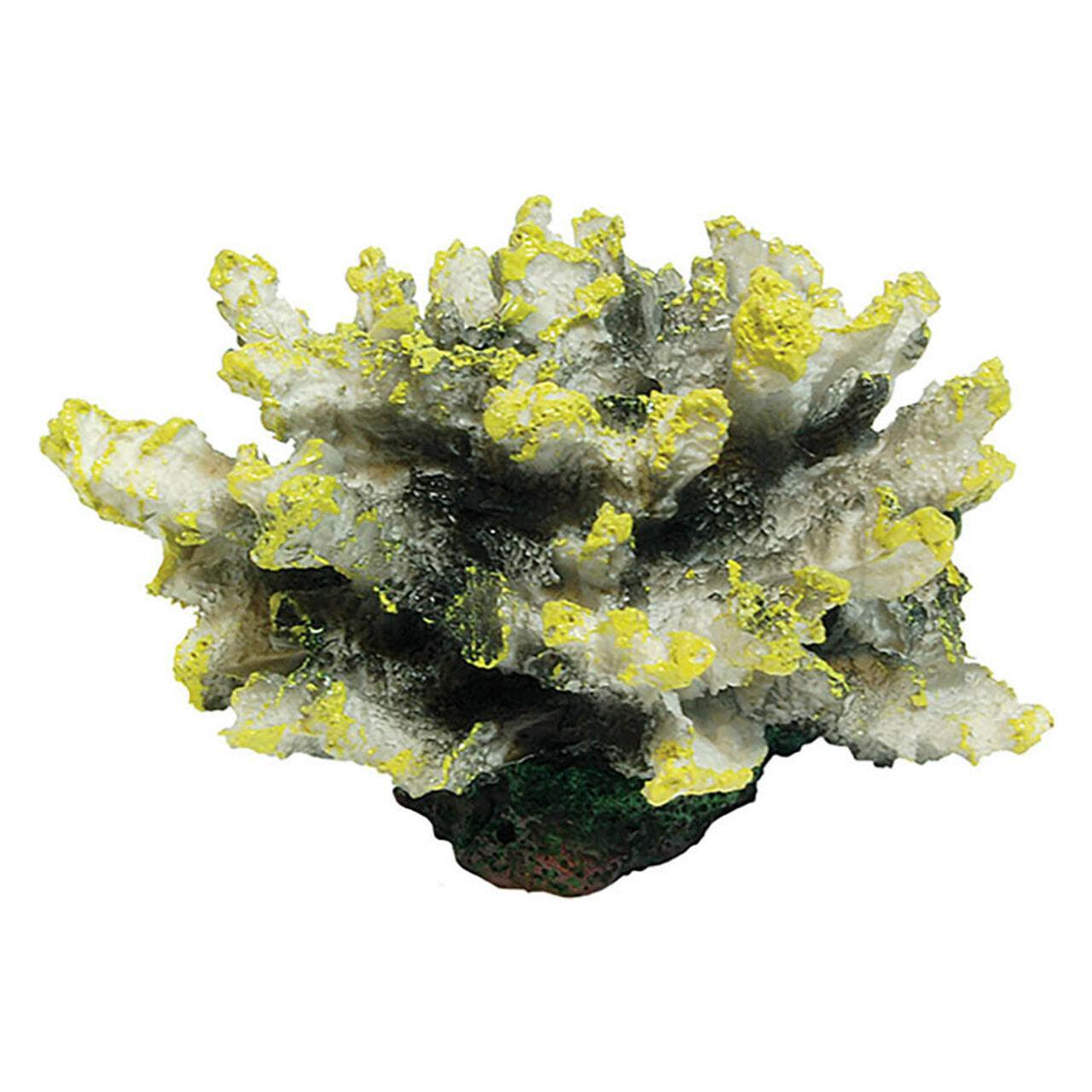 AquaSpectra Coral